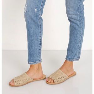 Coconuts by Matisse Mateo Slides